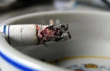 Sąd nakazał firmom tytoniowym przyznać się do oszukiwania ludzi