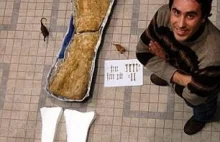 Odkryto szkielet dinozaura przy którym T-Rex to pikuś