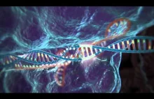 VIDEO: Jak działa edytowanie genów dzięki CRISPR/Cas9 [ENG]
