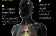 Wirus ebola - obszerna infografika [PL]