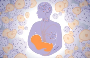 Komórki płodu ukrywają się w ciele matki, ale co one robią?