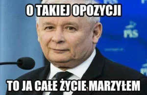 Opozycja się ośmieszyła. Posłowie dostaną po kieszeni