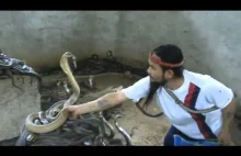 Facet zajmuje się selekcją węży do pokazu