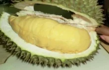 Do samolotu bez śmierdzącego duriana