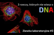 3 rzeczy, których nie wiesz o DNA // Zlewka laboratoryjna #3