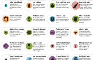 52 mity obalone na jednej infografice [ENG]