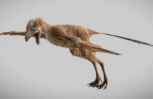 Nowy dinozaur wyglądający jak nietoperz - eksperyment ewolucji
