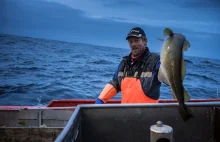 Łapanie rybek w Norwegii.