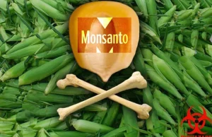 Imperium zła : 12 rakotwórczych produktów Monsanto »