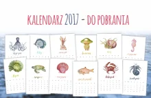 Kalendarz 2017 do druku - pdf