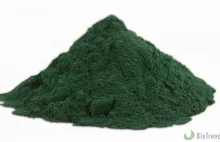 Spirulina - właściwości i zastosowanie