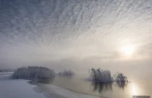 Magiczna zima nad Jeziorem Tarnobrzeskim. Fot. R. Delimata ZDJĘCIA