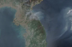 Satelita NASA wykryła masywne pożary w Korei północnej