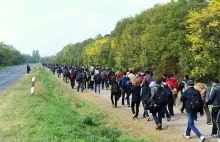90% uchodźców, którym odmówiono azylu w Austrii, nadal pozostaje w kraju