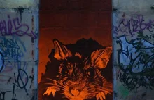 Sztuka uliczna - graffiti