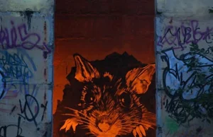 Sztuka uliczna - graffiti
