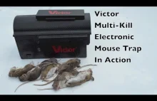 Automatyczna łapka na myszy. Do 10 myszy pojemności