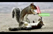 JEDI CHIPMUNKS LIGHTSABER BATTLE