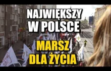 Największy Marsz dla Życia w Polsce Waleczne Serce - Szczecin 2016...