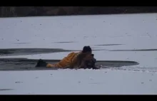 Właściciel znalazł swojego psa w wodzie i spróbował go ratować