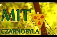 Obalił mit Czarnobyla