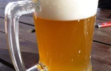 Międzynarodowy Dzień Piwa i Piwowara 2019 przypada na 2 sierpnia