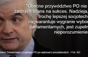 Cimoszewicz: "Ludzie mają dość władzy zblazowanych konsumentów ośmiorniczek".