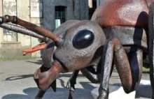 Mrówka mutant. Ant mutant