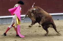 Byki pokonały matadorów na korridzie z okazji święta św. Izydora