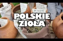 Herbatki ziołowe: Pokrzywa, Mięta, Malina, Dziurawiec, Melisa i Mieszanki...