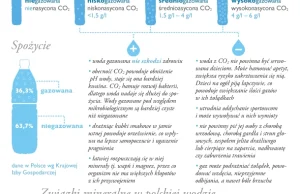 Co powinieneś wiedzieć o butelkowanej wodzie [infografika]