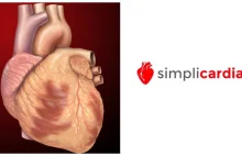 SimpliRadial - polscy naukowcy stworzyli opaskę do leczenia chorób serca