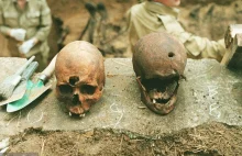 Rosjanie podrzucają kości na cmentarz Polaków w Miednoje