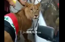 Irak: Protestujących szczuto psami. W odpowiedzi przyprowadził lwa