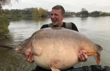 Nowy rekord świata. Karp 49 kg z węgierskiego łowiska Euro-Aqua. Nikt...