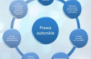 Jak zagwarantować wolność w internecie i ochronę praw autorskich?