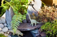 Tata zrobił dla dziecka park dinozaurów :)