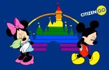 STOP homoseksualnej paradzie w Disneyland