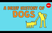 TED-Ed Krótka historia psów.