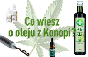 Czym jest olej z konopi? (i czym nie jest) - Cannabis News