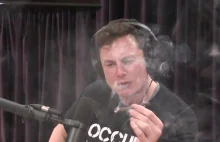 Elon Musk palił marihuanę na wizji. Teraz zajmie się nim NASA