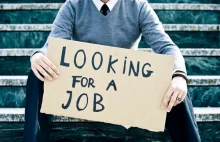 Czy w tym kraju naprawdę nie da się już znaleźć pracy bez znajomości?