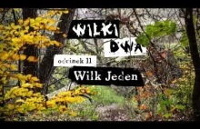 Wilki dwa. Odcinek 11: Wilk Jeden