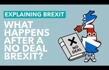 Co będzie oznaczał No Deal Brexit. (Ang)