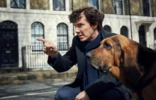 Sherlock: Współtwórca zdradza kiedy mógłby zakończyć się serial