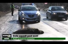 [Olsztyn] Dzik wpadł pod audi, zwierzę umierało 2 godziny...