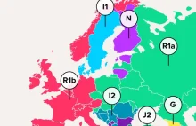 Jak wyglądałaby Europa, gdyby jej granice wytyczało DNA?