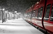 W Oslo pociąg potrącił dwóch Polaków. Zginęli na miejscu