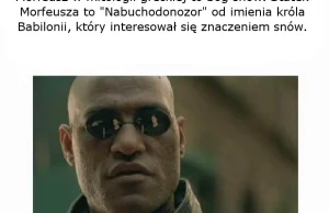 Garść ciekawostek o filmie Matrix