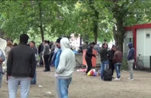 Imigranci terroryzują Calais